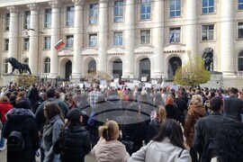 Протест срещу насилието над животни