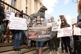 Протест срещу насилието над животни