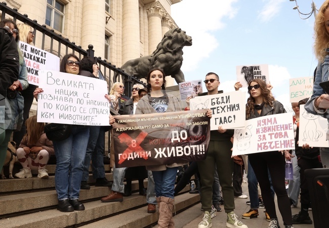 Протест срещу насилието над животни