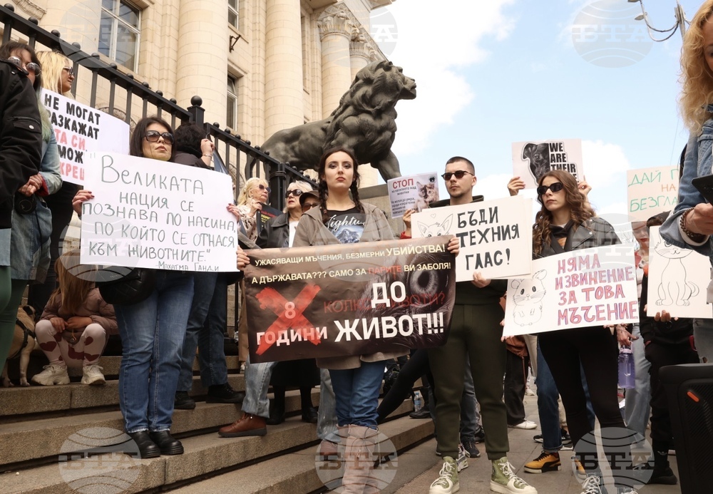 Протест срещу насилието над животни