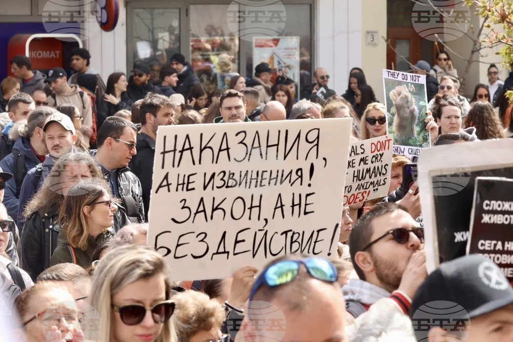 Протест срещу насилието над животни