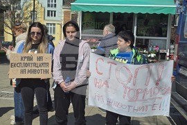 Благоевград - протест в защита на животните