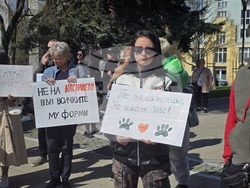 Благоевград - протест в защита на животните