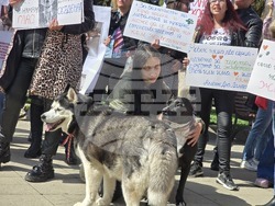 Благоевград - протест в защита на животните