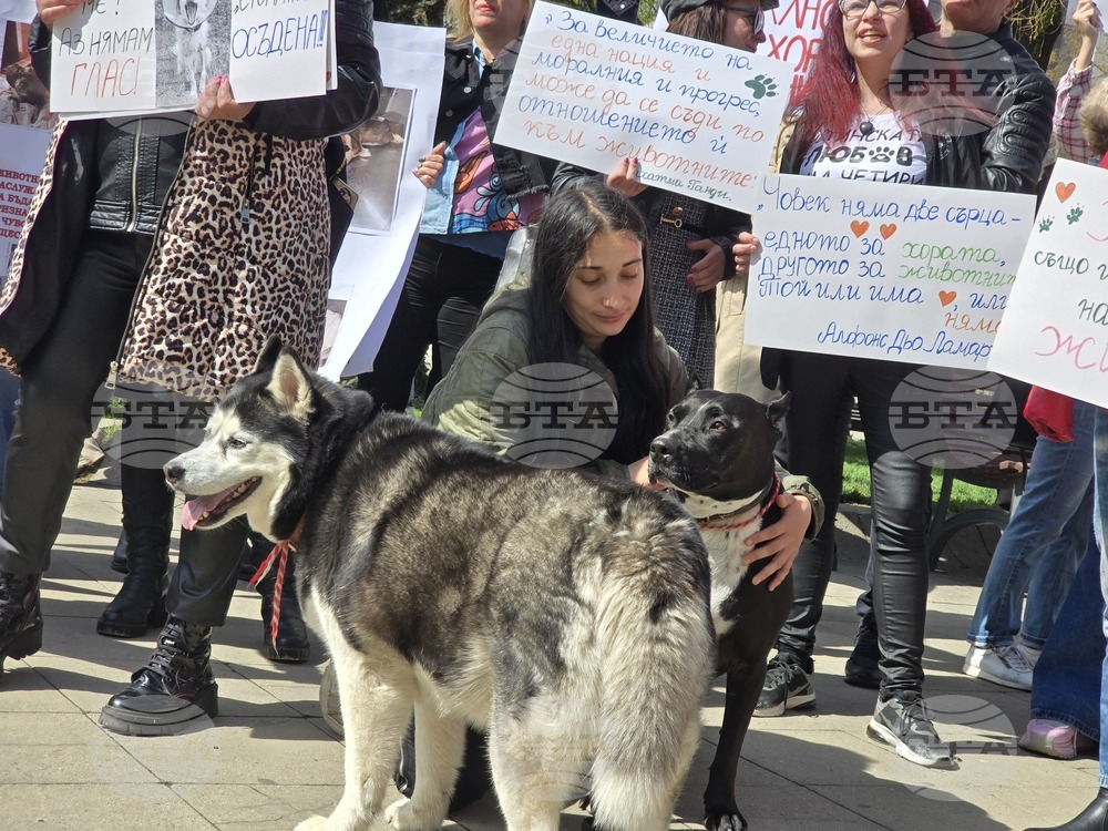 Благоевград - протест в защита на животните