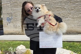 Благоевград - протест в защита на животните