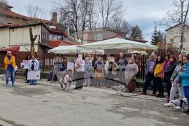 Самоков - протест в защита на животните