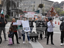 Хасково - протест срещу насилието над животни
