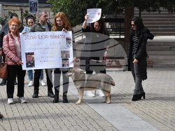 Хасково - протест срещу насилието над животни