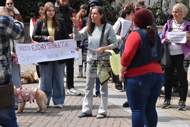 Втори протест срещу насилието над животни се състоя в Хасково