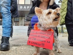 Варна - протест срещу насилието над животни