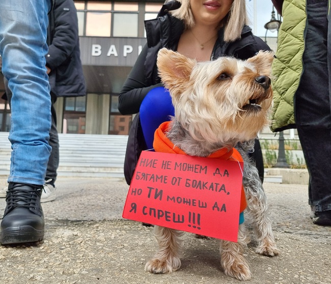 Варненци отново излизат на протест срещу насилието над животни