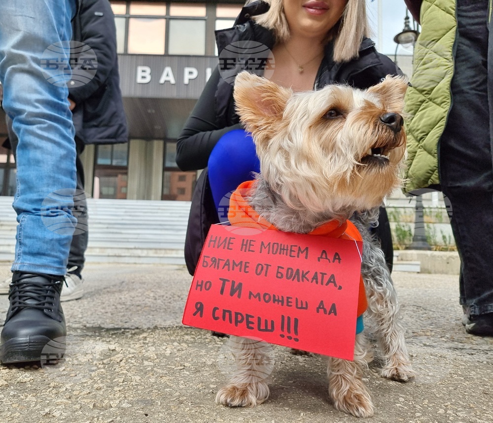 Варна - протест срещу насилието над животни