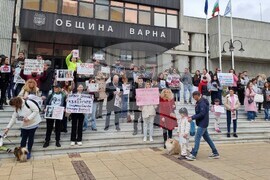 Варна - протест срещу насилието над животни