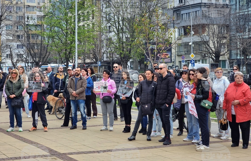Варна - протест срещу насилието над животни