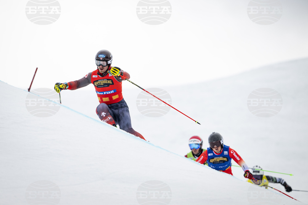 Sweden Ski Cross World Cup