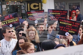 Протест срещу насилието над животни