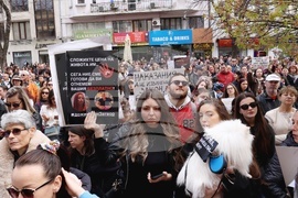 Протест срещу насилието над животни