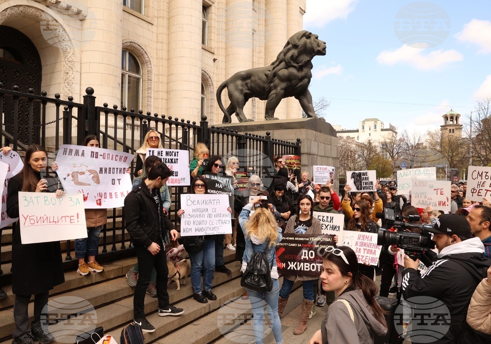 Протест срещу насилието над животни