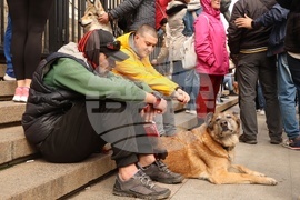 Протест срещу насилието над животни