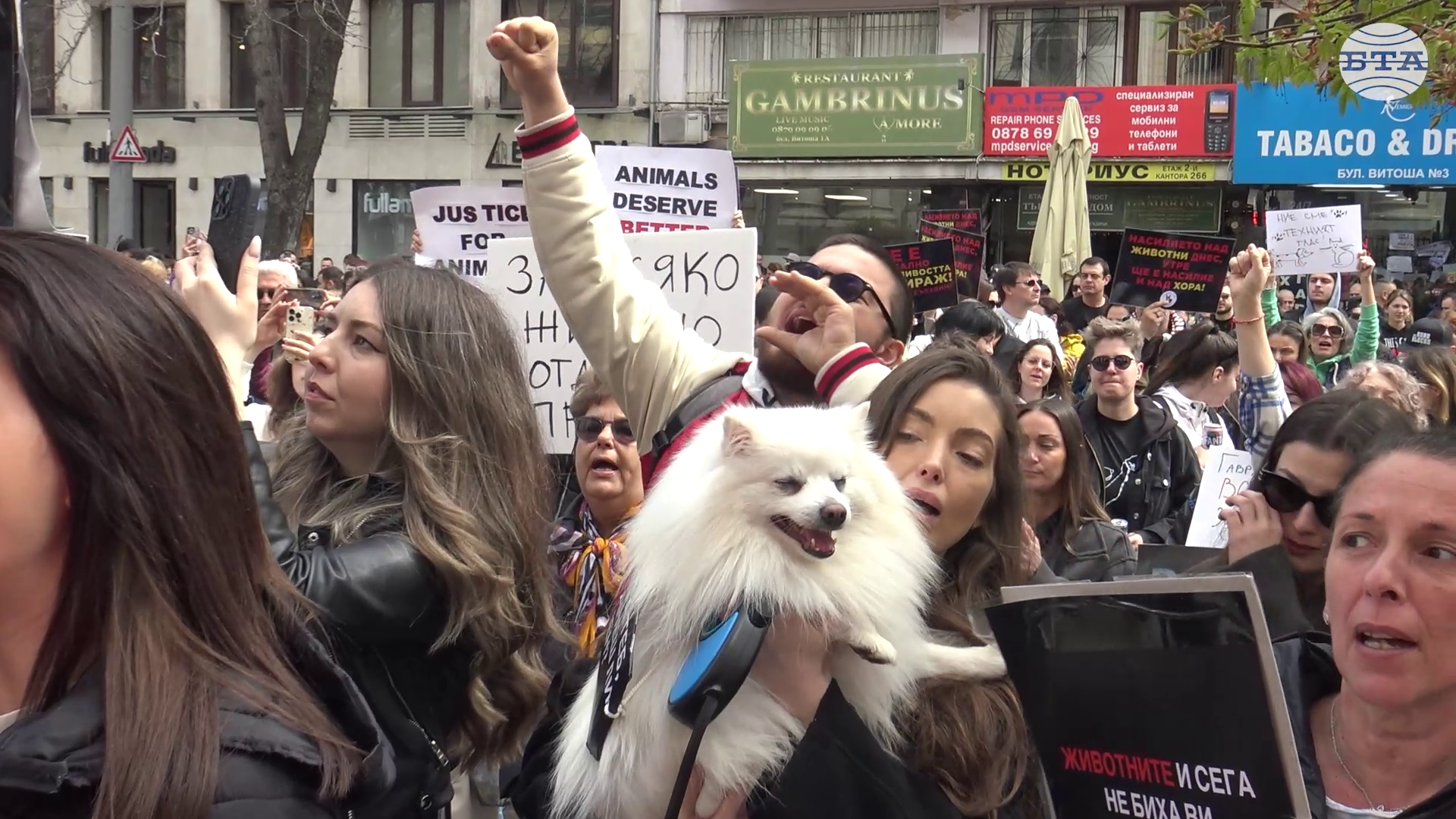 Протест в защита на животните събра граждани пред Съдебната палата в София Протест в защита на животните събра граждани пред Съдебната палата в София