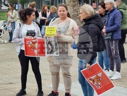 Пресфото – БТА, снимка: Галя Тенева