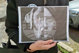 Кюстендил - протестно шествие срещу насилието над животни