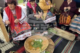 Село Конаре - Фестивал на самардалата