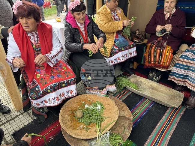 Село Конаре - Фестивал на самардалата