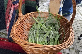 Село Конаре - Фестивал на самардалата