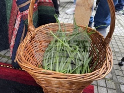 Село Конаре - Фестивал на самардалата