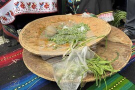 Село Конаре - Фестивал на самардалата