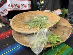 Село Конаре - Фестивал на самардалата