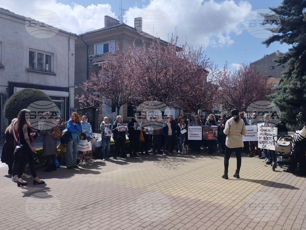 Жители на Казанлък се събраха пред Съдебната палата в защита на правата на животните