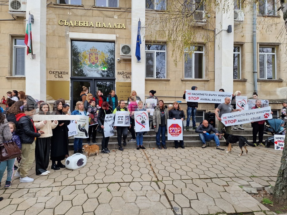 Разградчани се събраха на протест срещу насилието над животни