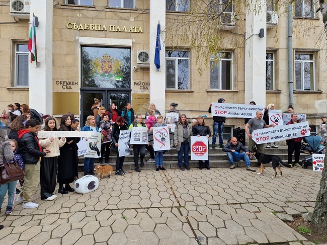 Разградчани се събраха на протест срещу насилието над животни