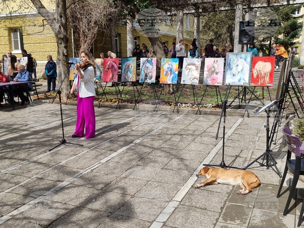 В Кюстендил бе открита изложбата „Конете като цвят“