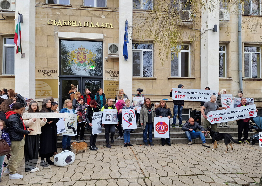 Разград - протест срещу насилието над животни