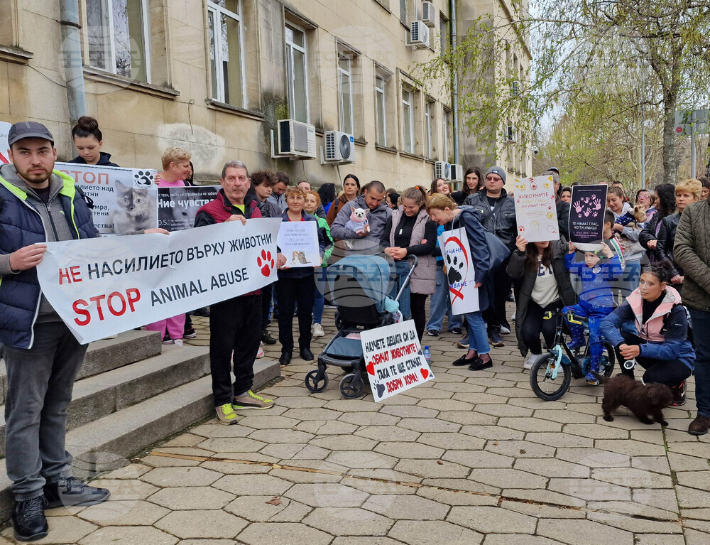 Разград - протест срещу насилието над животни