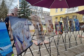 Кюстендил - „Конете като цвят“ - изложба