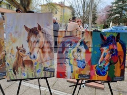 Кюстендил - „Конете като цвят“ - изложба
