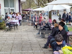 Кюстендил - „Конете като цвят“ - изложба