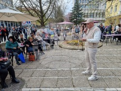 Кюстендил - „Конете като цвят“ - изложба