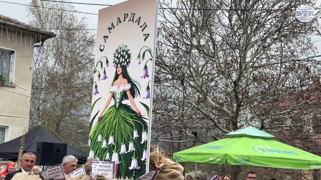 В гурковското село Конаре разкриха тайните на ароматната подправка самардала