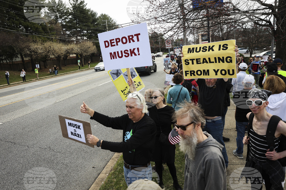 Tesla Protests