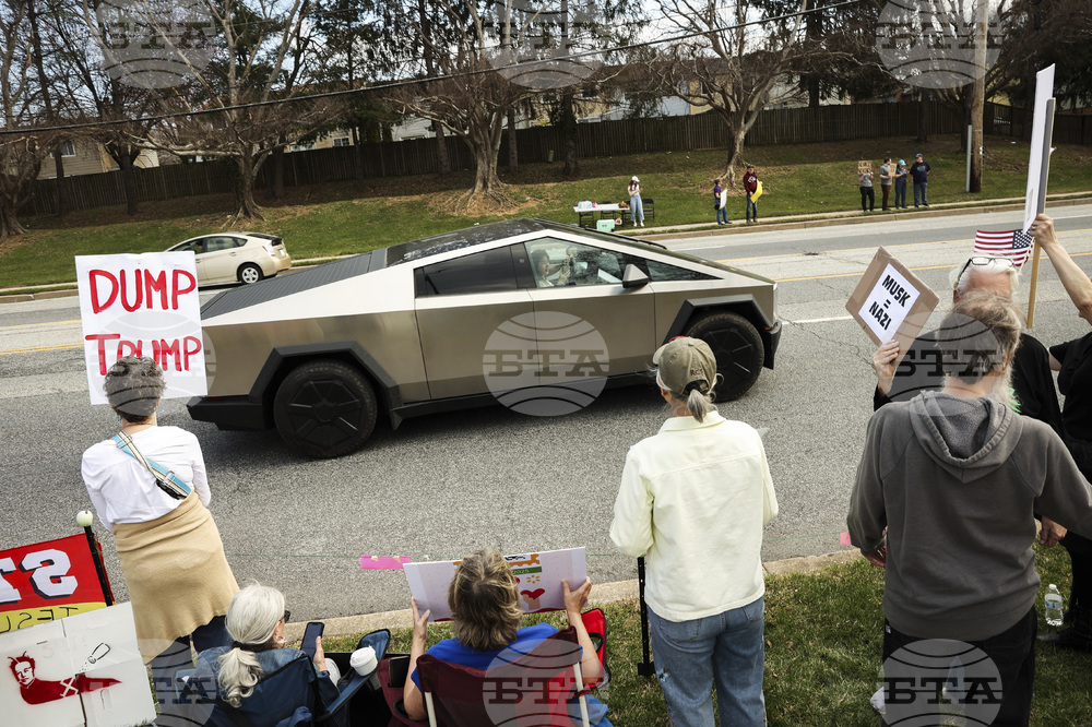 Tesla Protests