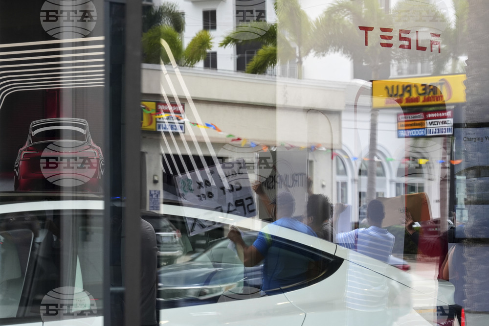Tesla Protests