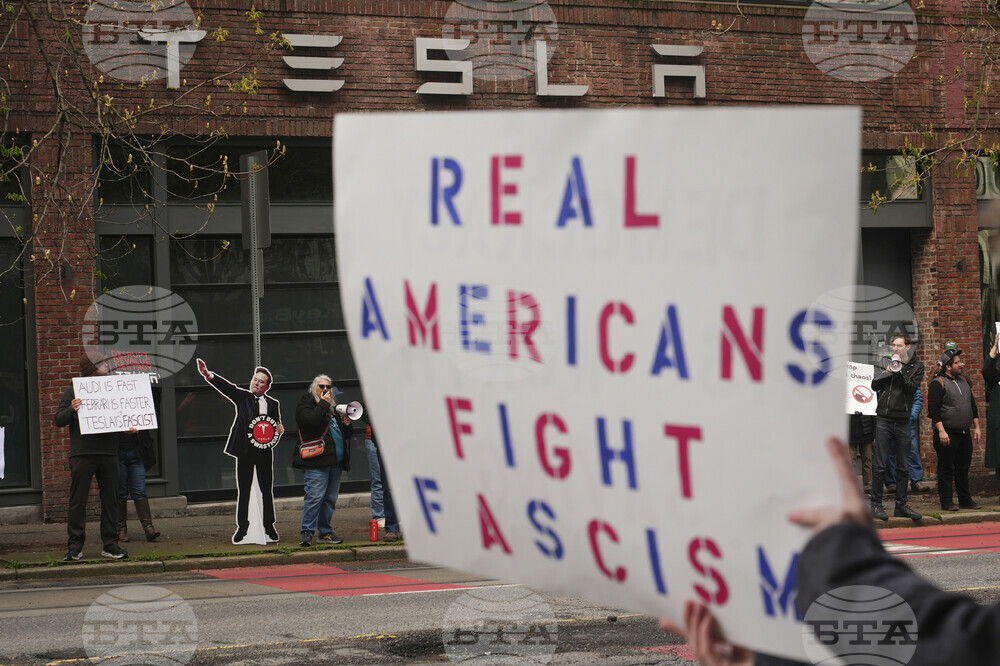 Tesla Protests
