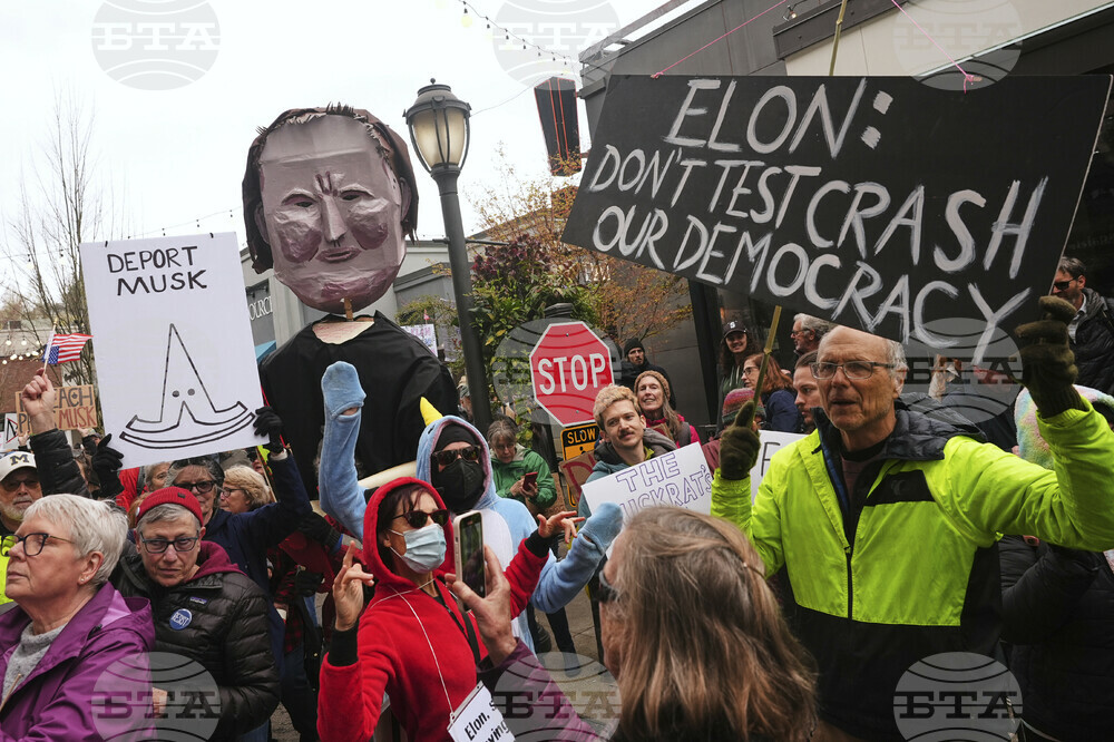 Tesla Protests