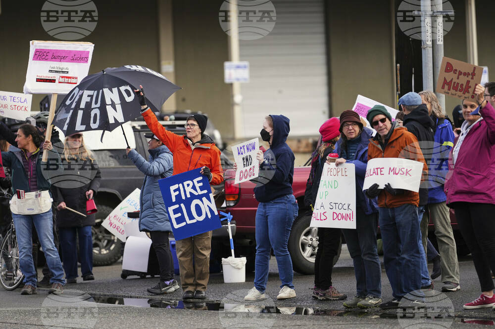 Tesla Protests
